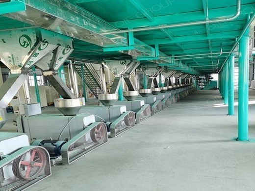 Máquina para fabricar aceite comercial planta de procesamiento de aceite de coco